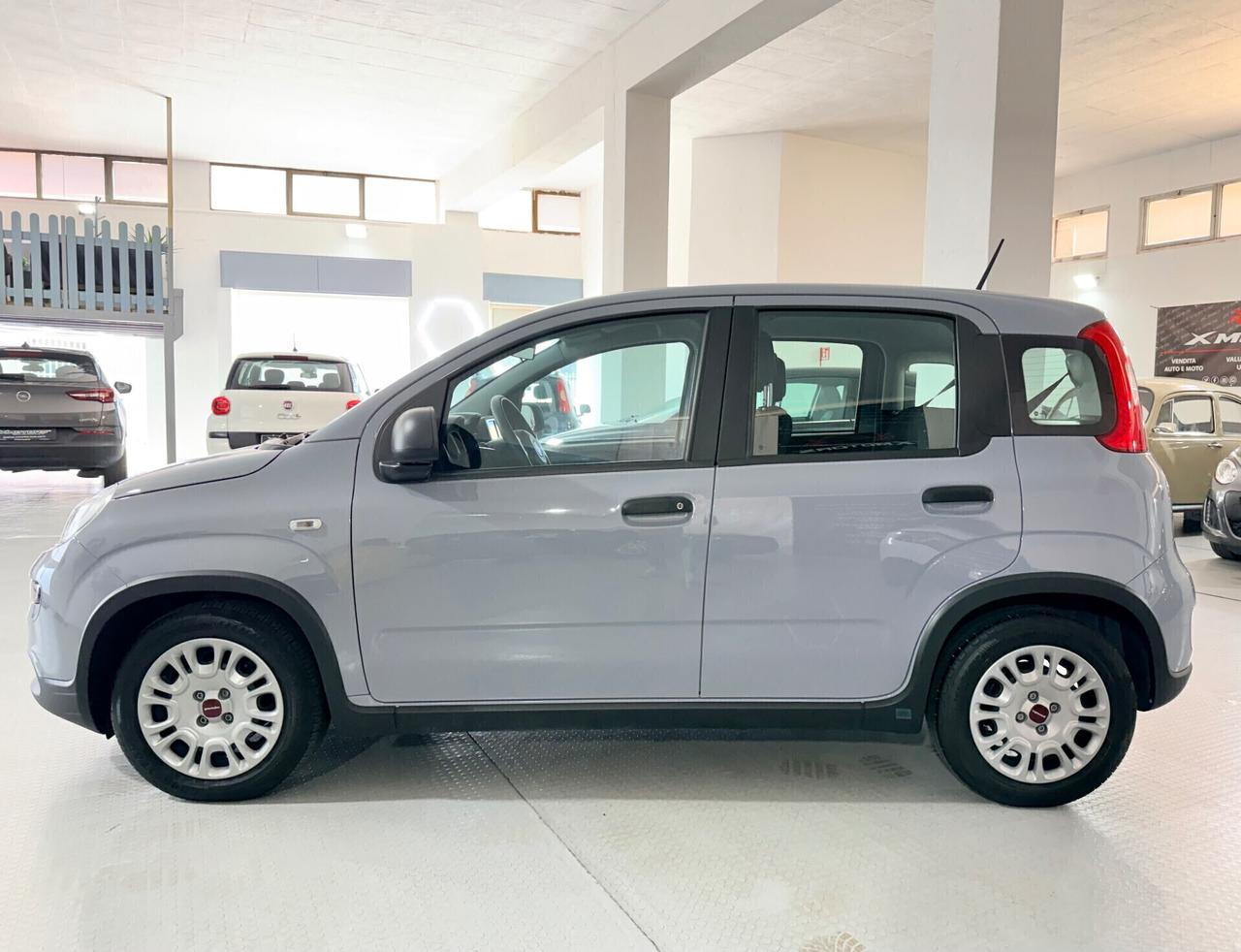 Fiat Panda 1.0 FireFly Aziendale Hybrid