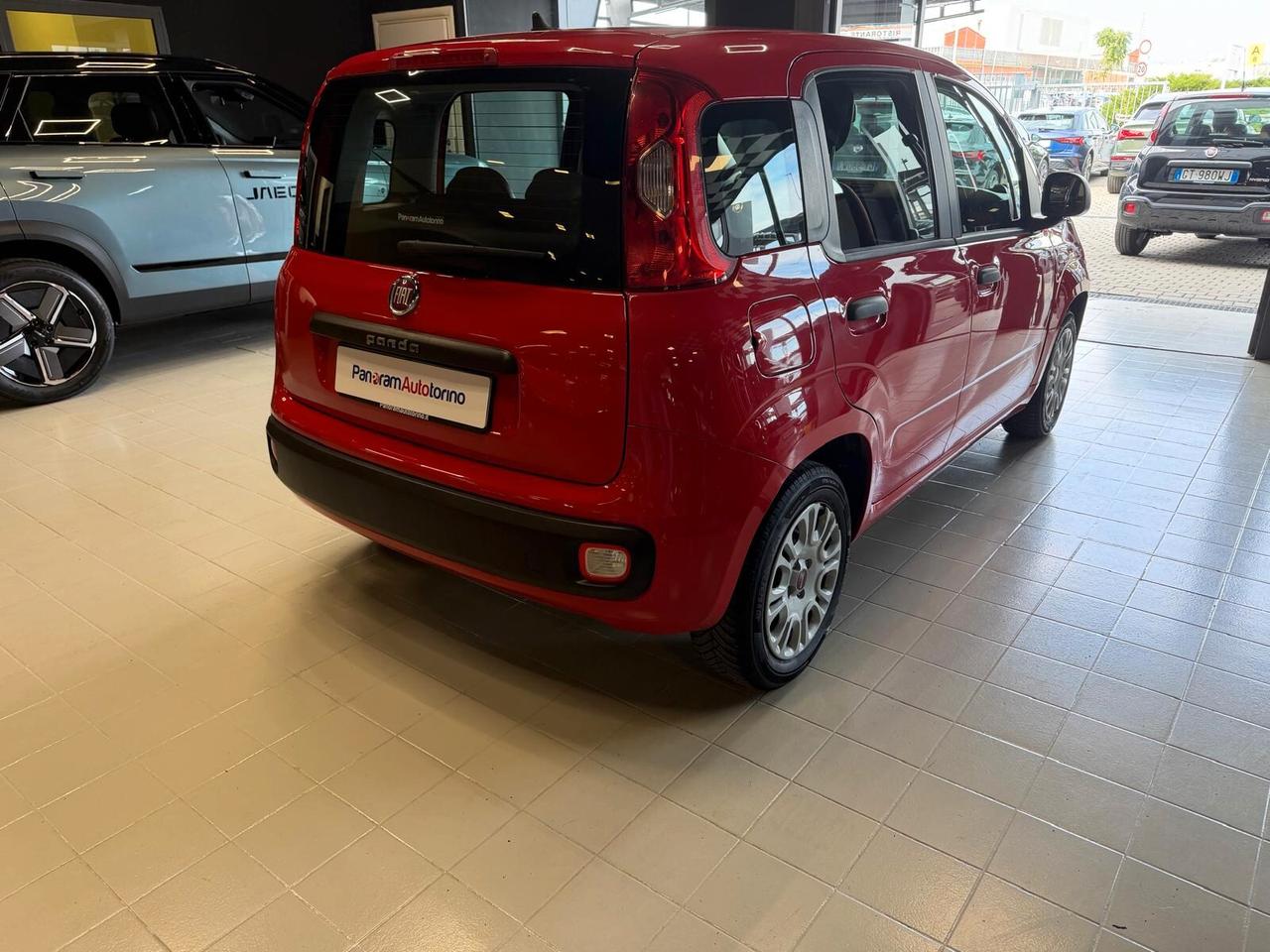 FIAT Panda 3ª serie Panda 1.2 Easy