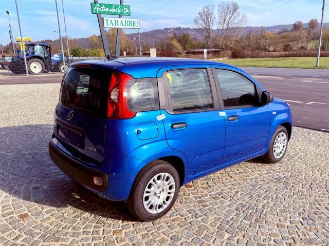 FIAT New Panda ICON - KM 0 10/2025- 5° POSTO - RADIO - SENSORI