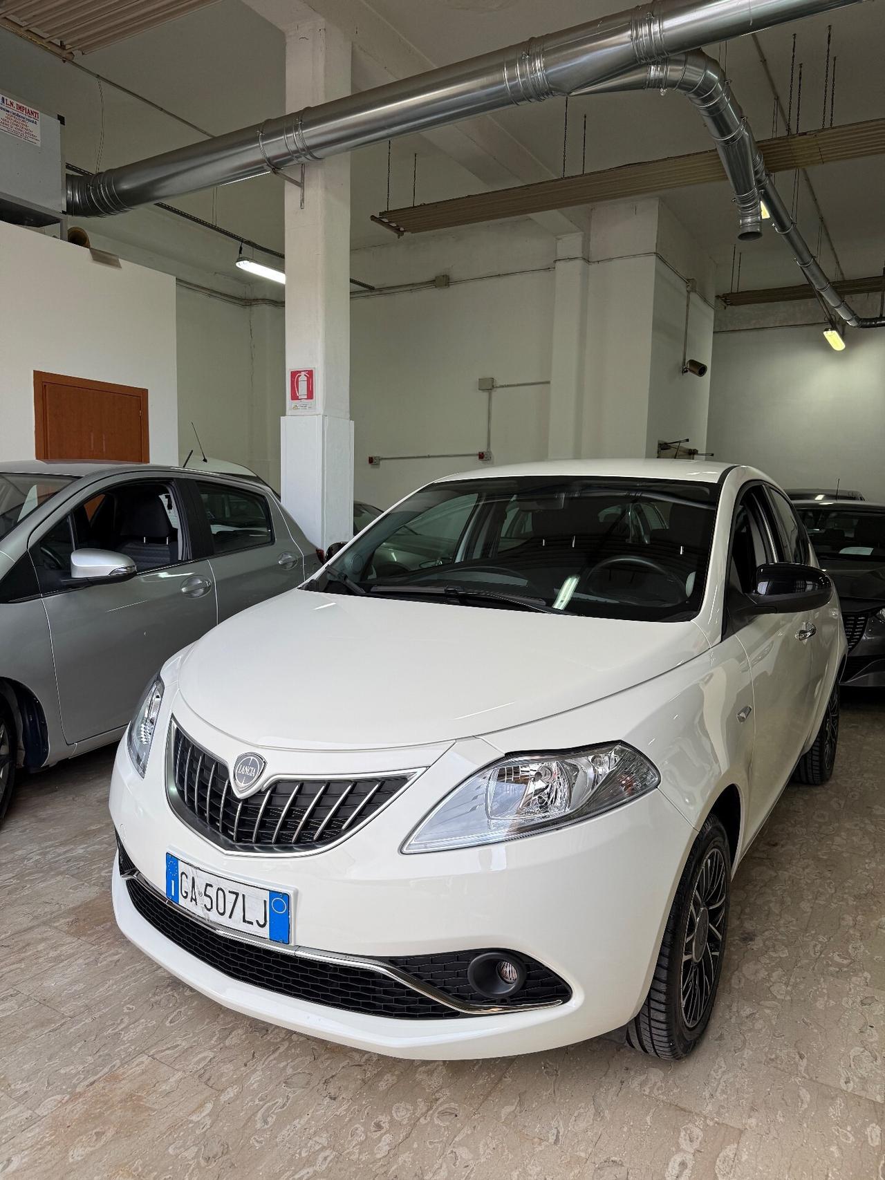 Lancia Ypsilon 1.2 69 CV 5 porte S&S Platinum