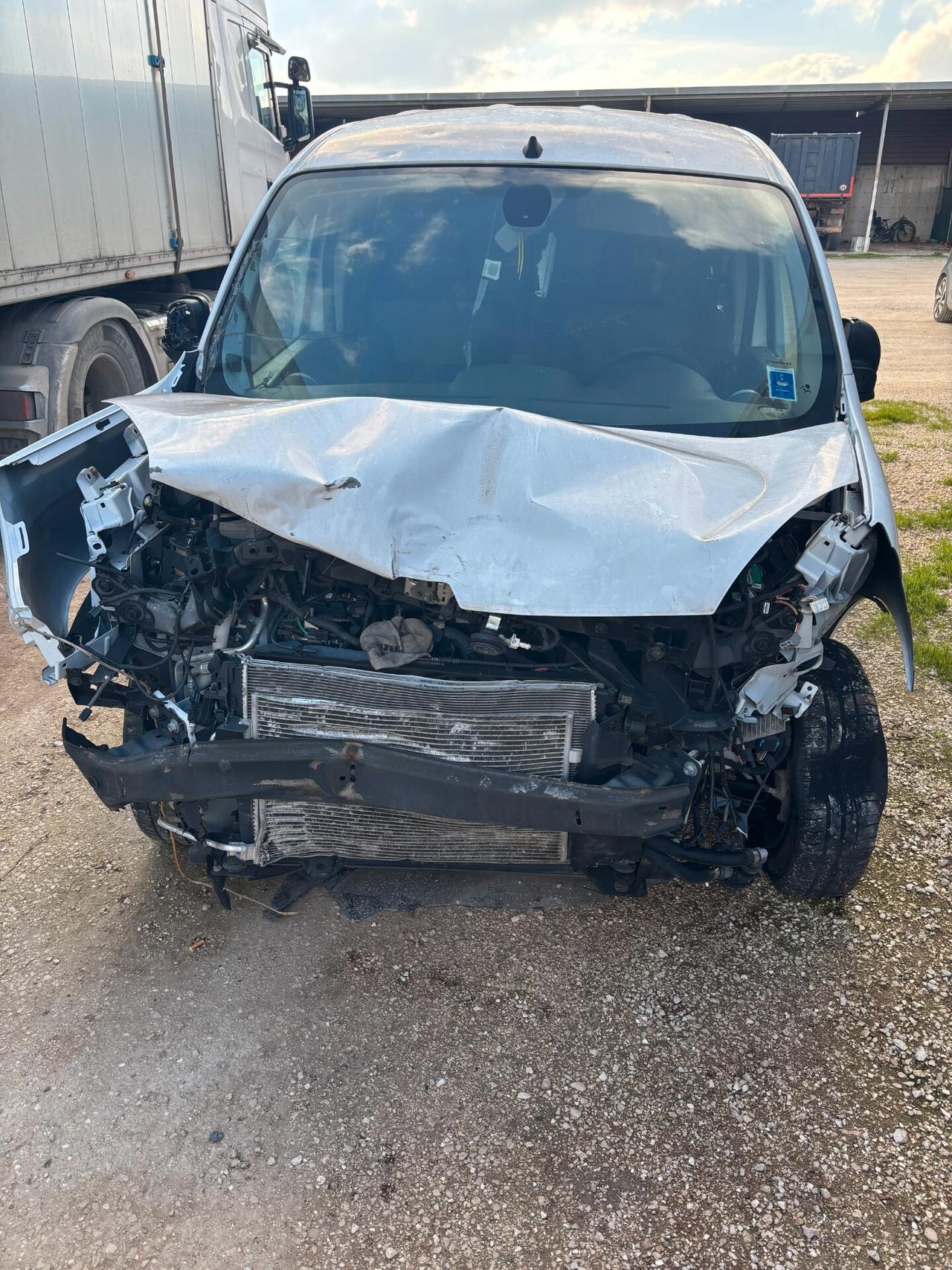 Renault Kangoo Blue dCi 95CV Express Furgone Ice