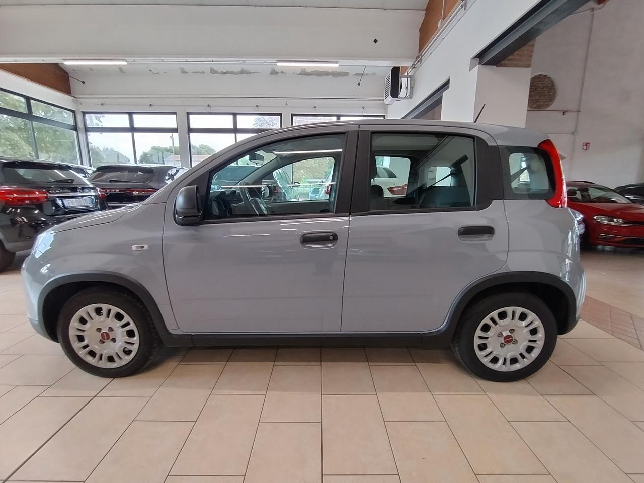 FIAT Panda 1.2 EasyPower- 2023