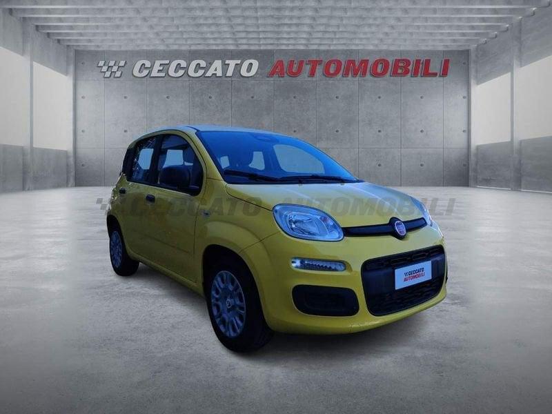 FIAT Panda Panda 1.0 firefly hybrid s&s 70cv