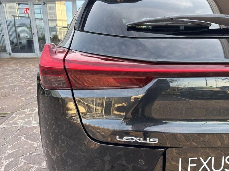 Lexus UX LEXUS UX 250 Hybrid 4WD Midnight