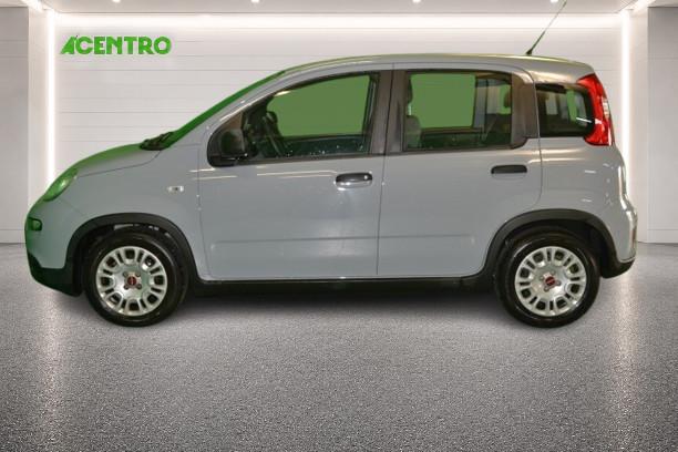 FIAT PANDA - My22 1.0 70cv Hybrid Panda