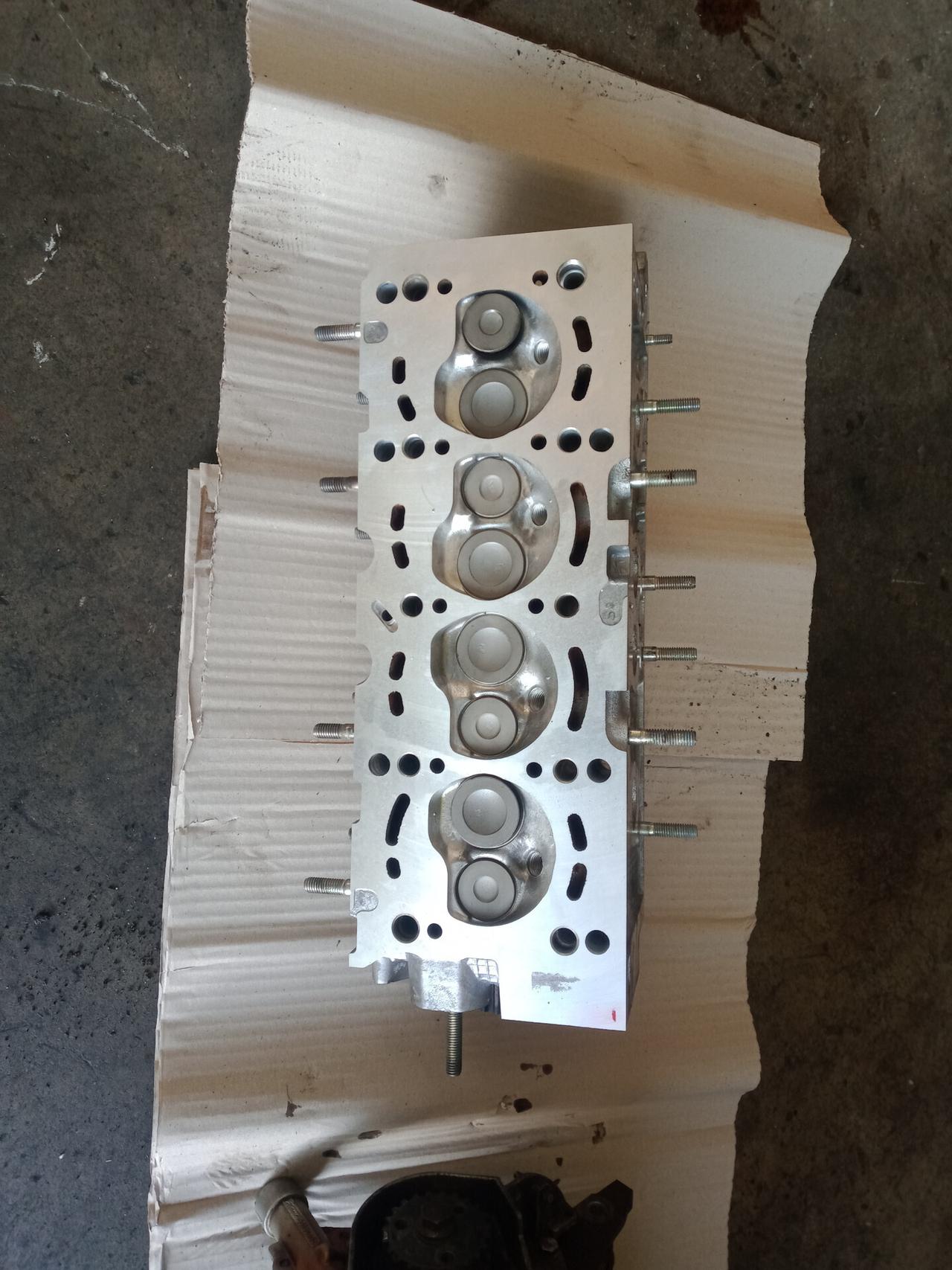 Panda Climbing Natural Power - Motore revisionato