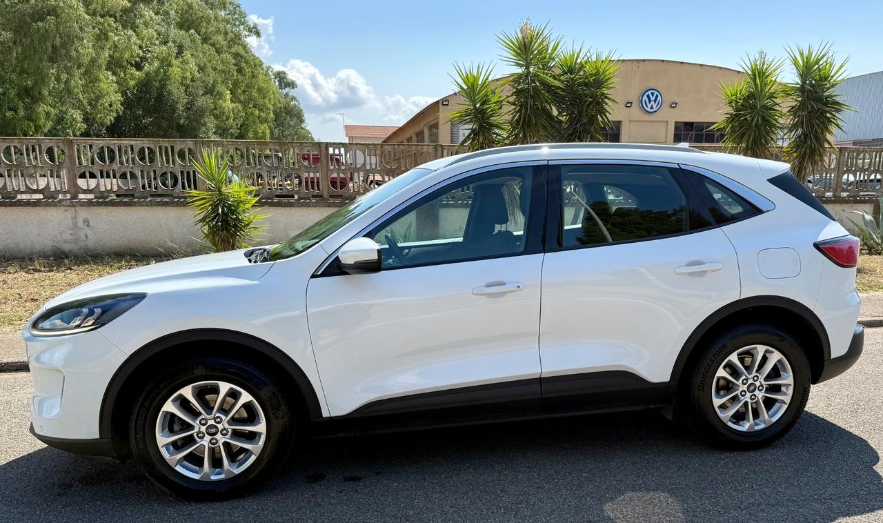Ford Kuga 1.5 EcoBlue 120 CV aut. 2WD Titanium Business
