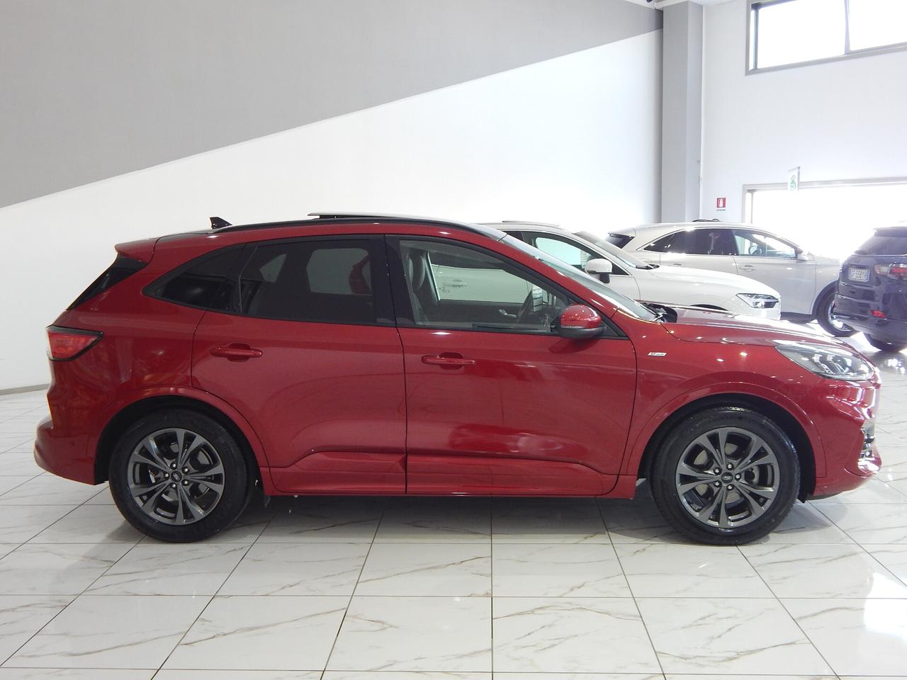 Ford Kuga 1.5 ecoblue ST-Line X 120cv Aut. TETTO-NAVI-PELLE