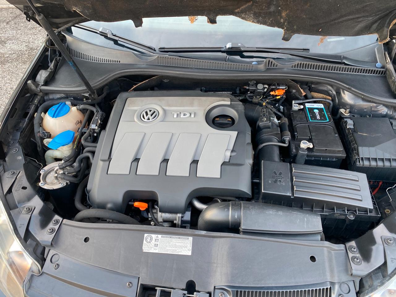 Volkswagen Golf 1.6 TDI DPF 5p. BlueMotion