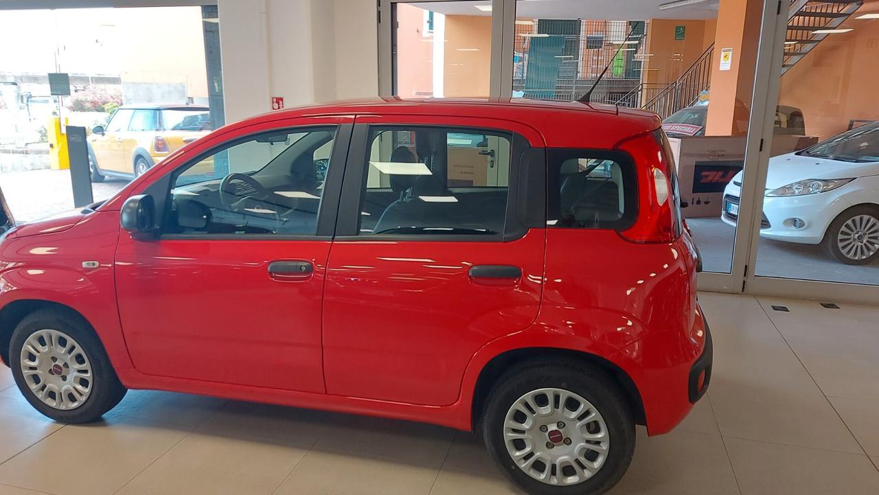 Fiat Panda 1.2 Easy