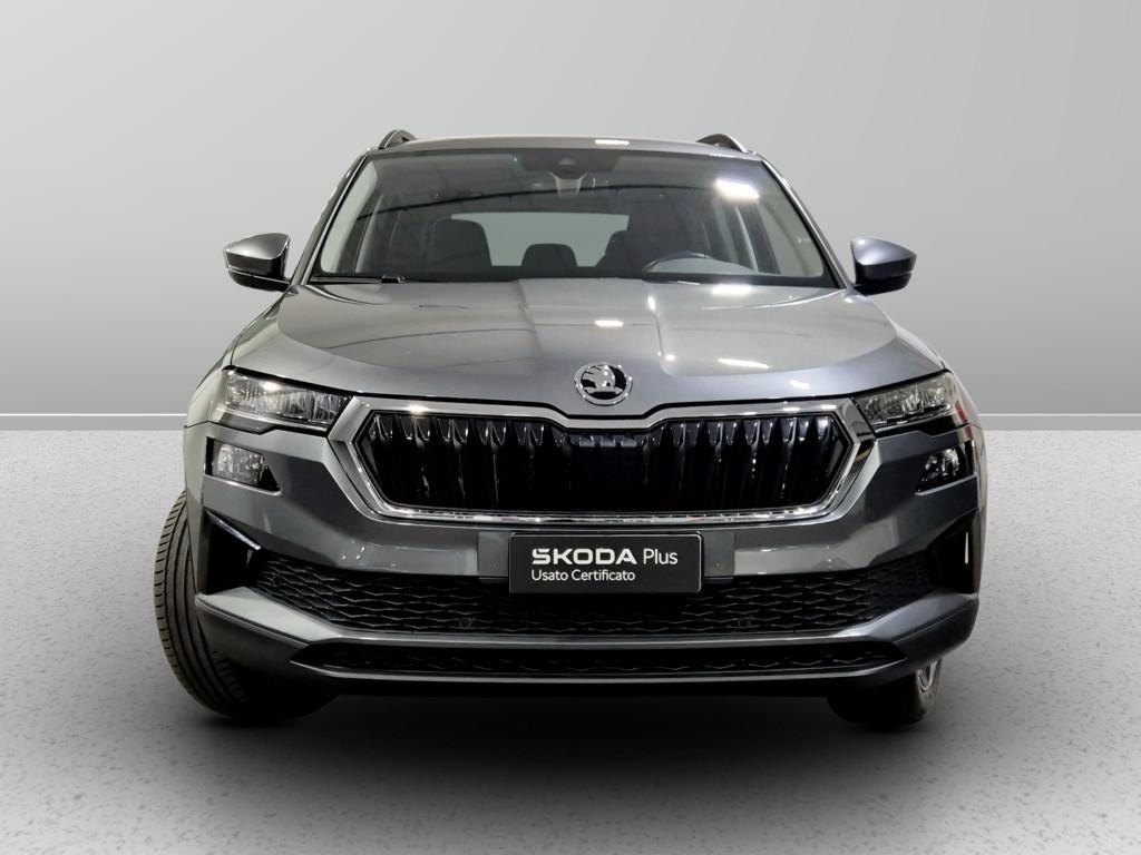 Skoda Karoq 2.0 tdi evo Executive 115cv dsg