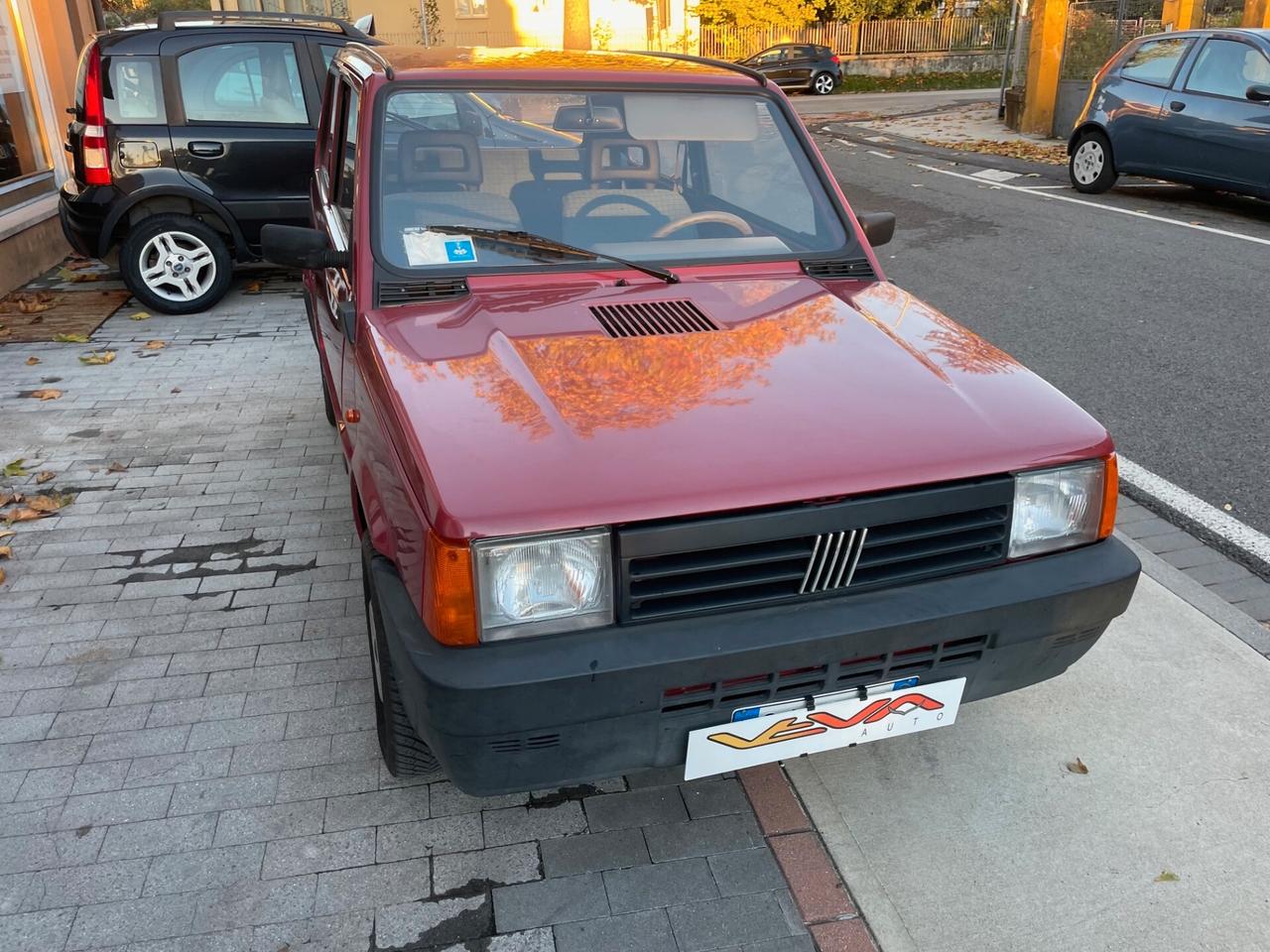 Fiat Panda 1100 i.e. cat Young
