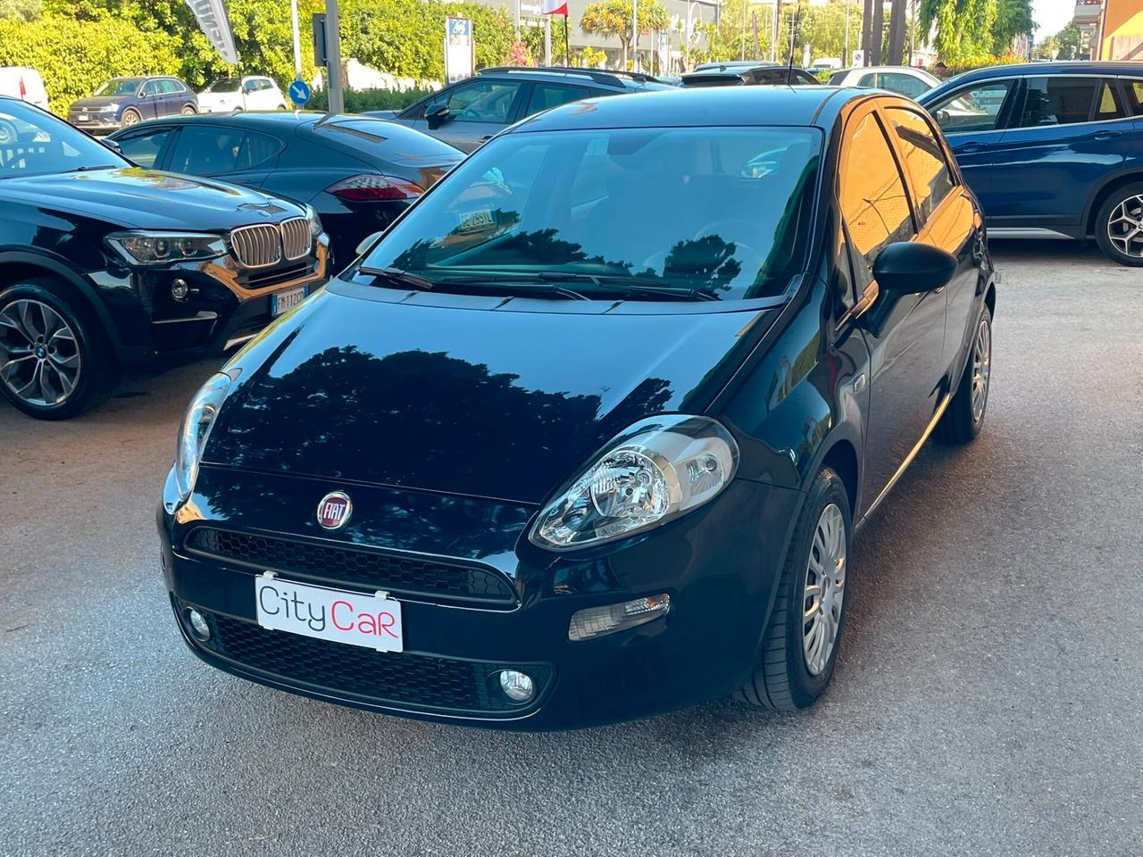Fiat Punto 1.3 MJT II S&S 95 CV 5 porte Street