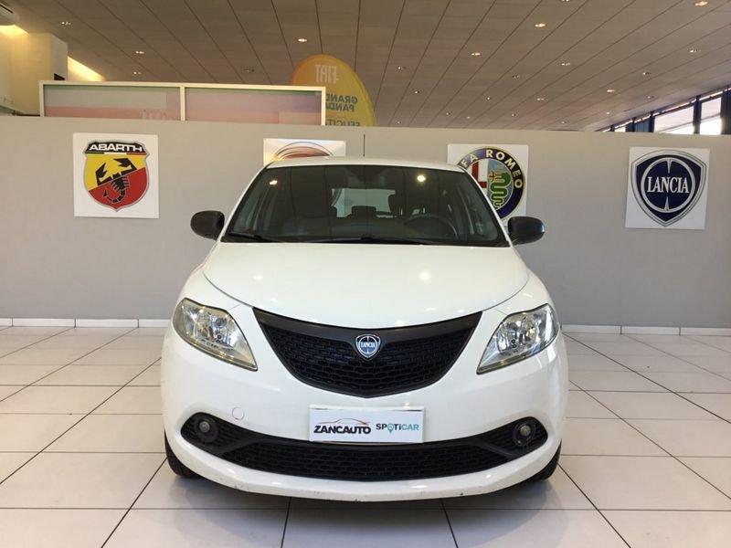 Lancia Ypsilon Ypsilon 1.2 Elefantino Blu s&s 69cv my19
