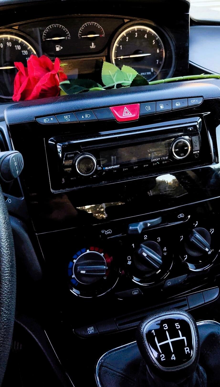 Lancia Ypsilon 1.2 69 CV 5 porte GPL ELEFANTINO BLU