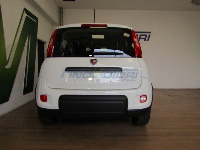 FIAT Panda 1.0 FireFly S&S Hybrid City Life - 5 POSTI