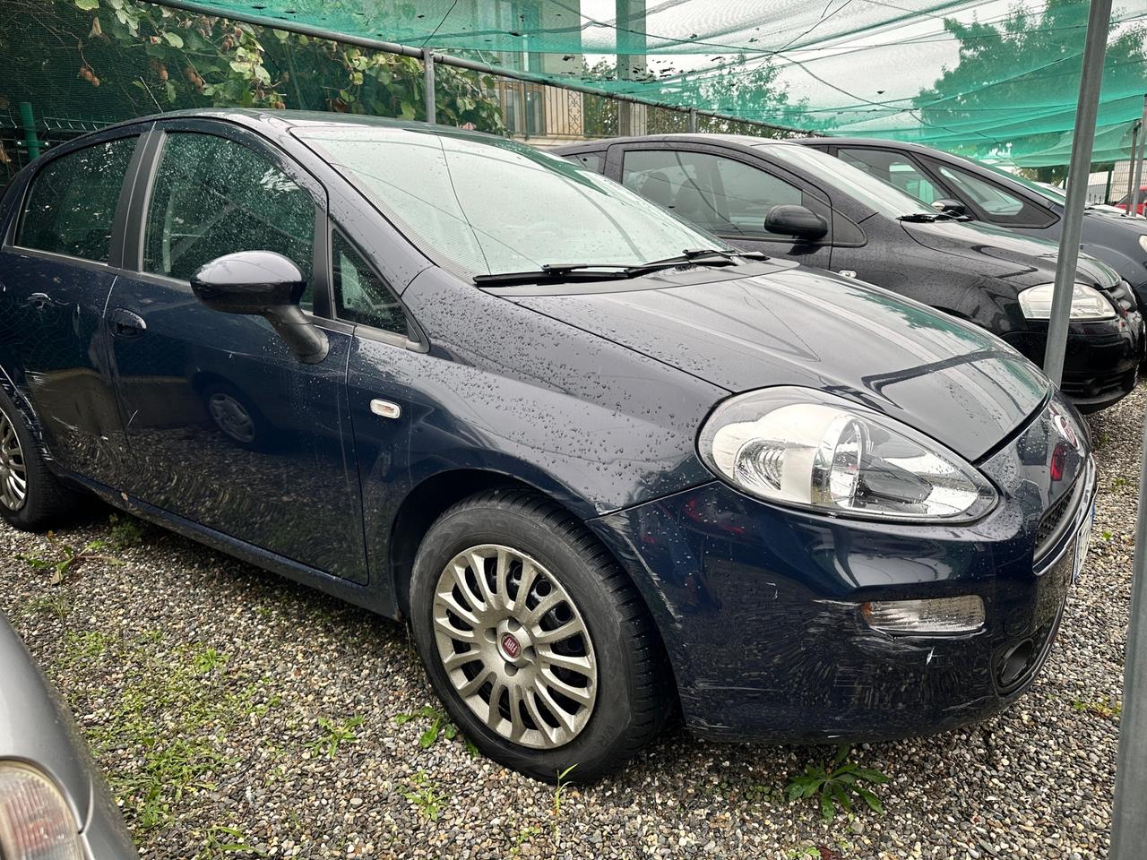 Fiat Punto Evo 1.3 MJT 75 CV 5 porte Lounge