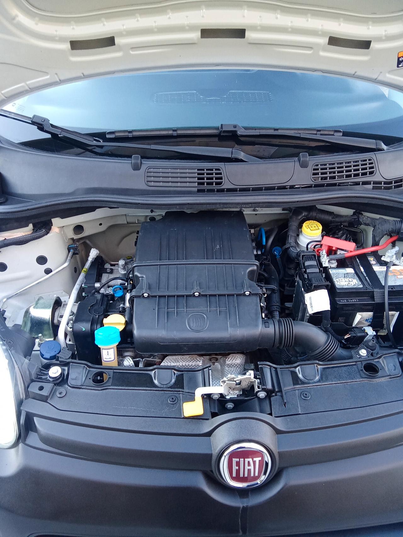 Fiat Panda 1.2 Van 2 posti 12/019