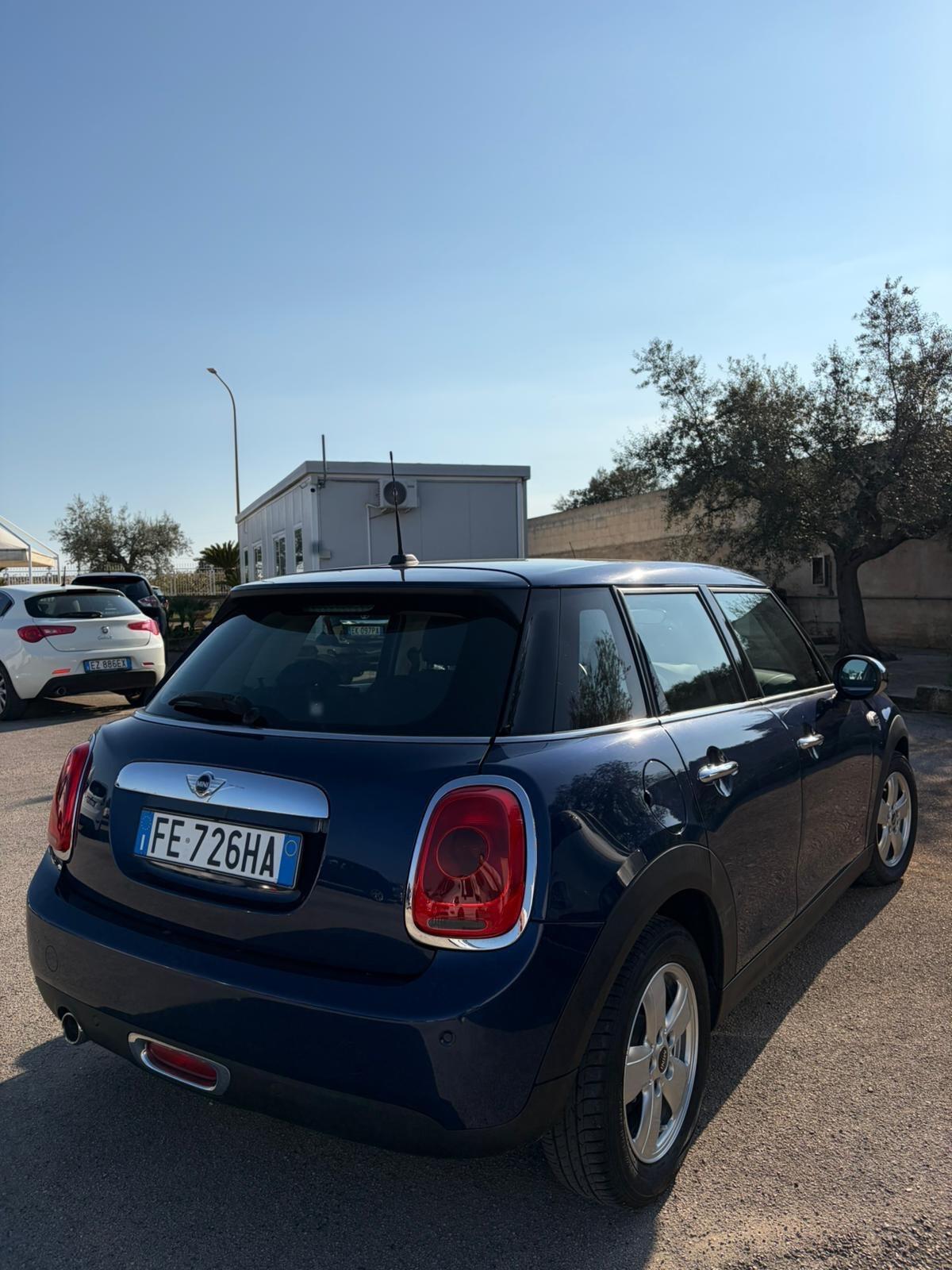 Mini 1.5 One D Hype