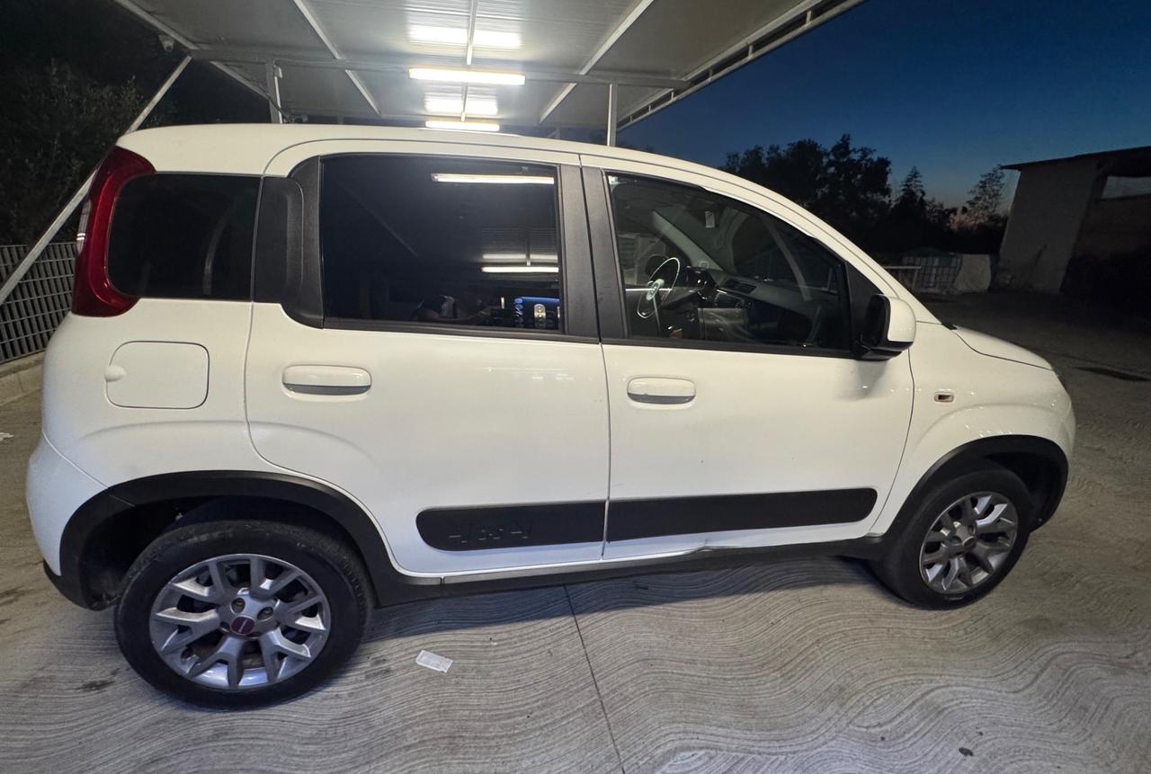 Fiat Panda 1.3 MJT 4x4 Pop Van 2 posti