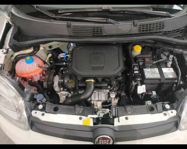 FIAT Pandina 1.0 firefly hybrid Pop s&s 65cv