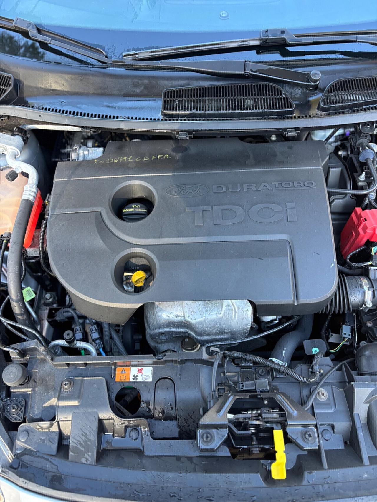 Ford Fiesta 1.5 TDCi 75CV 3 porte