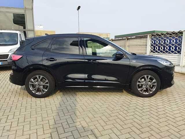 Ford Kuga 2.0 EcoBlue Hybrid 150 CV 2WD ST-Line X