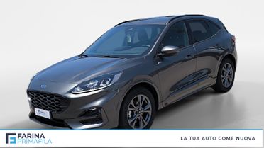 FORD Kuga III 2020 - Kuga 1.5 ecoboost ST-Line 2wd 150cv