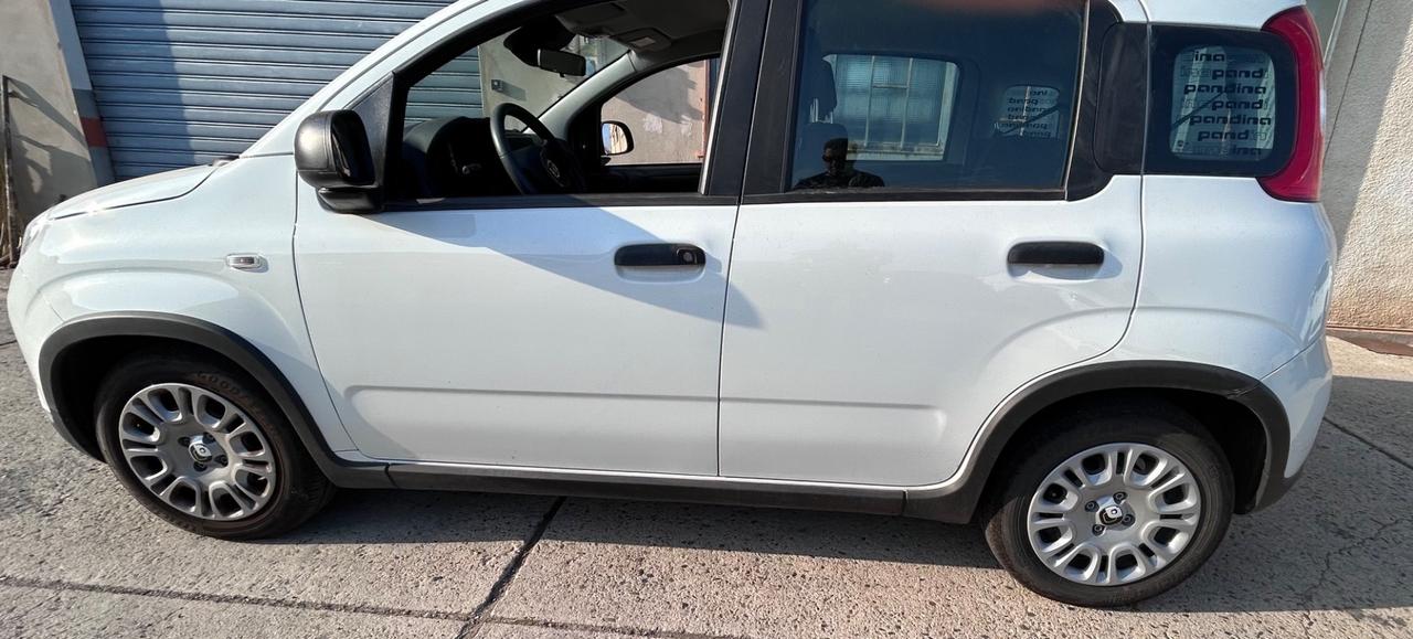Fiat Panda 1.0 FireFly S&S Hybrid Pandina km1.500