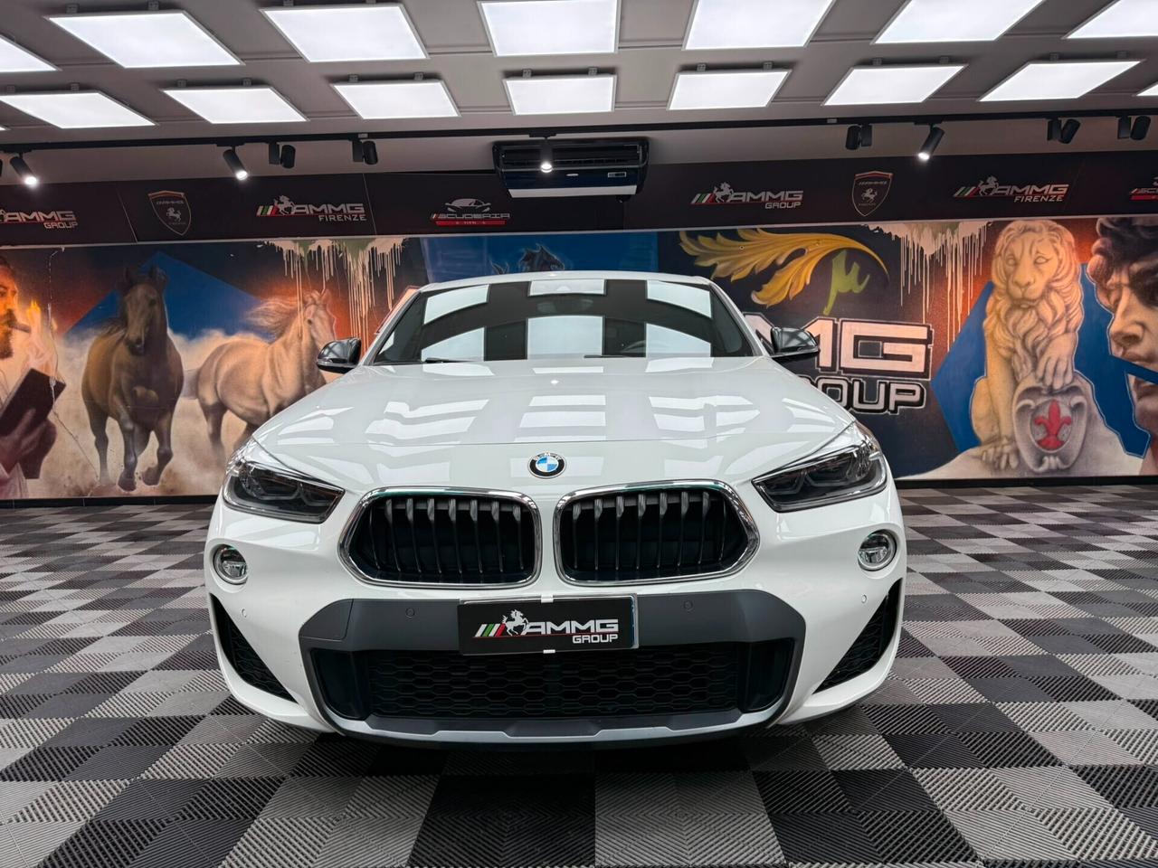 Bmw X2 xDrive18d Msport (526)