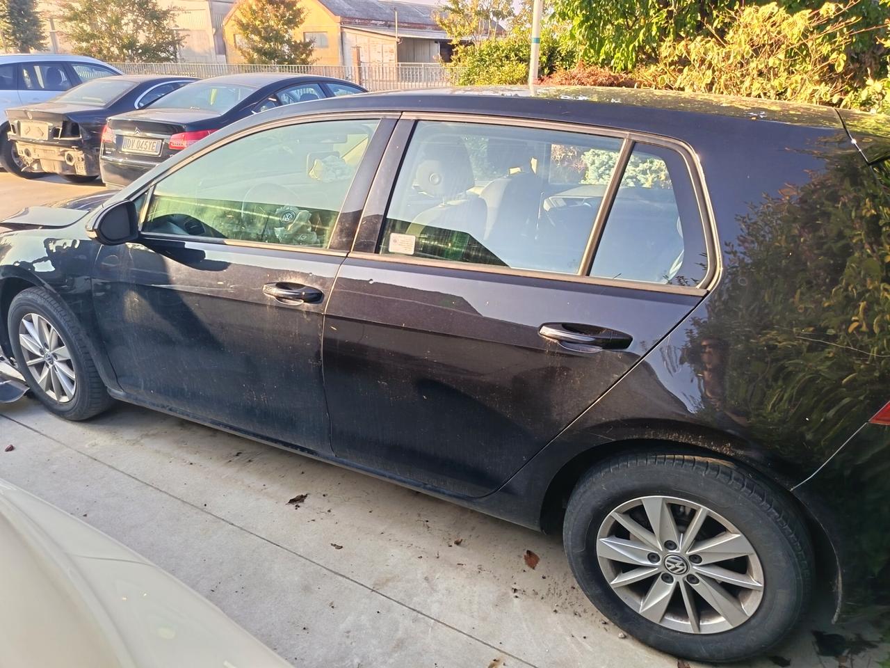 Volkswagen Golf 1.6 TDI 5p. Comfortline BlueMotion Technology