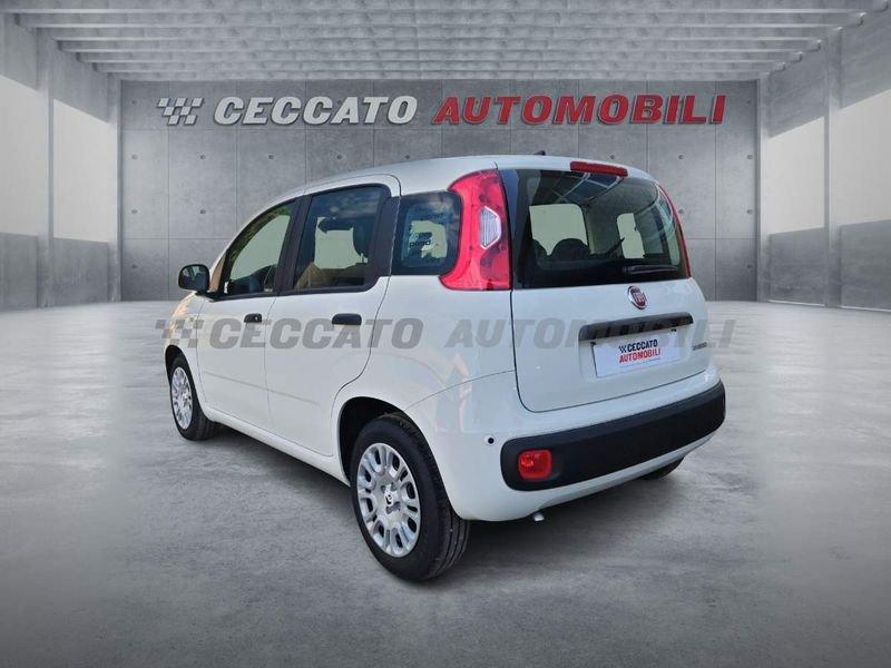 FIAT Panda Panda 1.0 70cv Hybrid Icon
