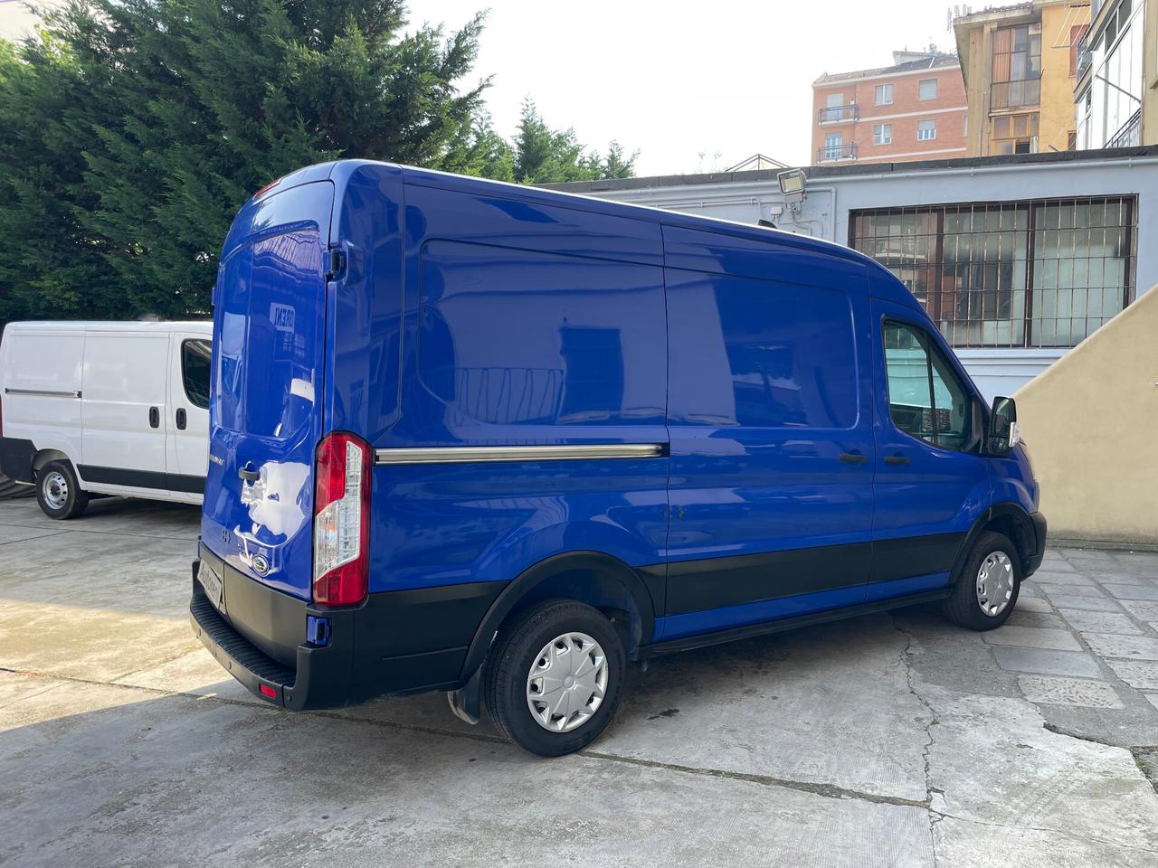 Ford Transit 290 2.0TDCi EcoBlue PM-TM Furgone Trend