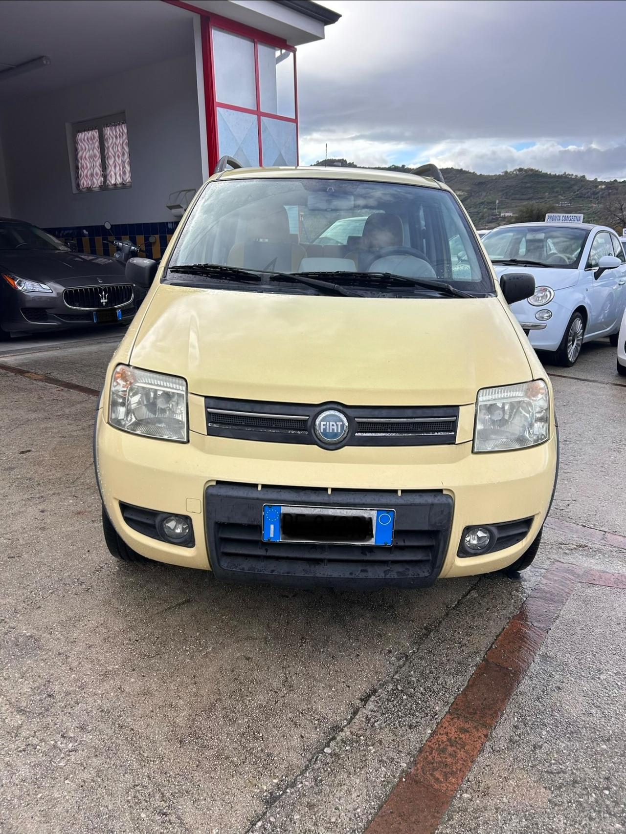 Fiat Panda 1.2 4x4 Dynamic