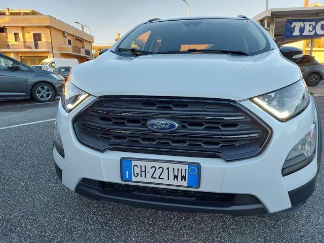 FORD EcoSport 1.0 EcoBoost 125 CV Start&Stop Active pelle