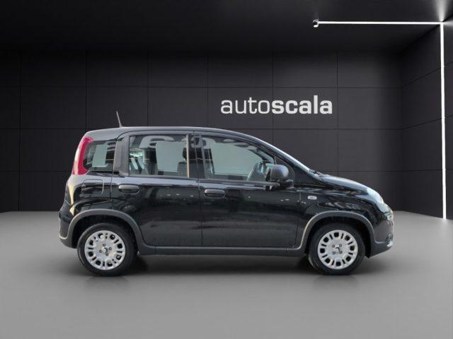 FIAT Panda 1.0 FireFly S&S Hybrid Pandina
