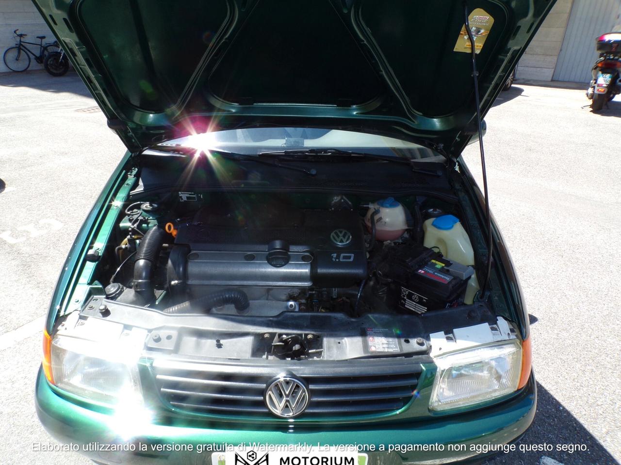 Volkswagen Polo 1.0 50CV PERFETTA!