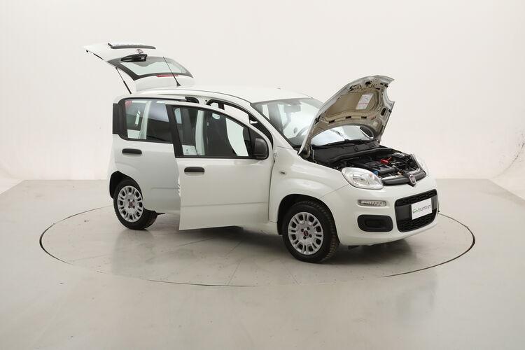 Fiat Panda Easy BR299710 1.2 GPL 69CV