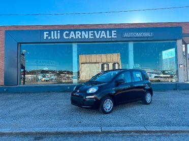 FIAT Panda 3ª serie Panda 1.0 FireFly S&S Hybrid