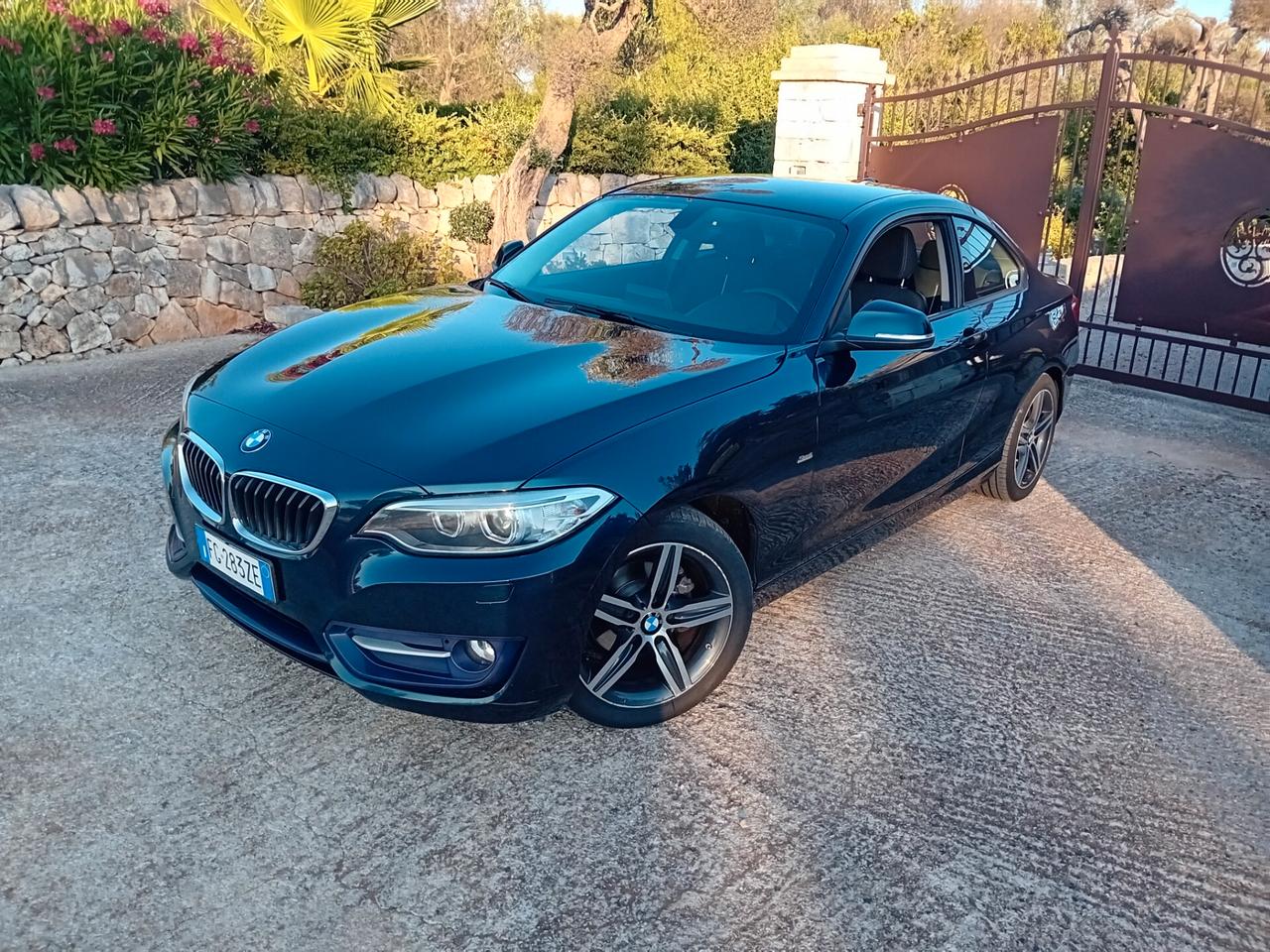 Bmw 220 218d Coupé Sport