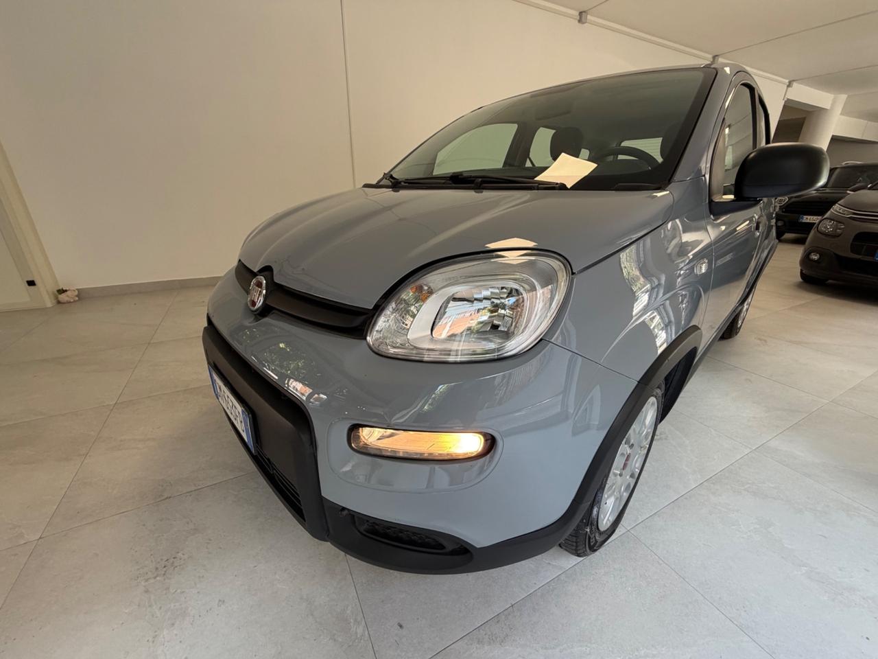 Fiat Panda 1.0 FireFly S&S Hybrid 70CV 2022 IVA ESPOSTA