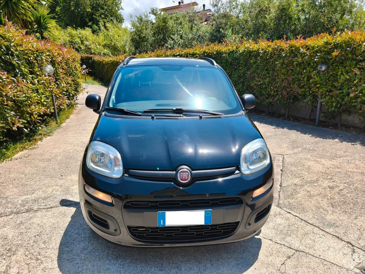 Fiat Panda 1.2 Benzina - 2015
