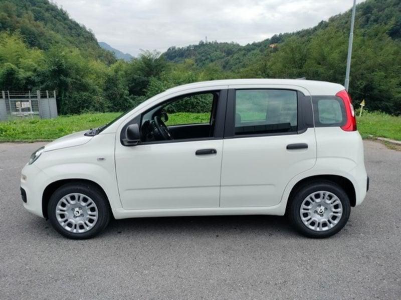 FIAT Panda Panda 1.0 FireFly S&S Hybrid GPL!!