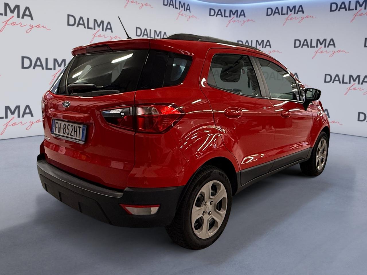 FORD EcoSport - EcoSport 1.0 ecoboost Plus 100cv my19