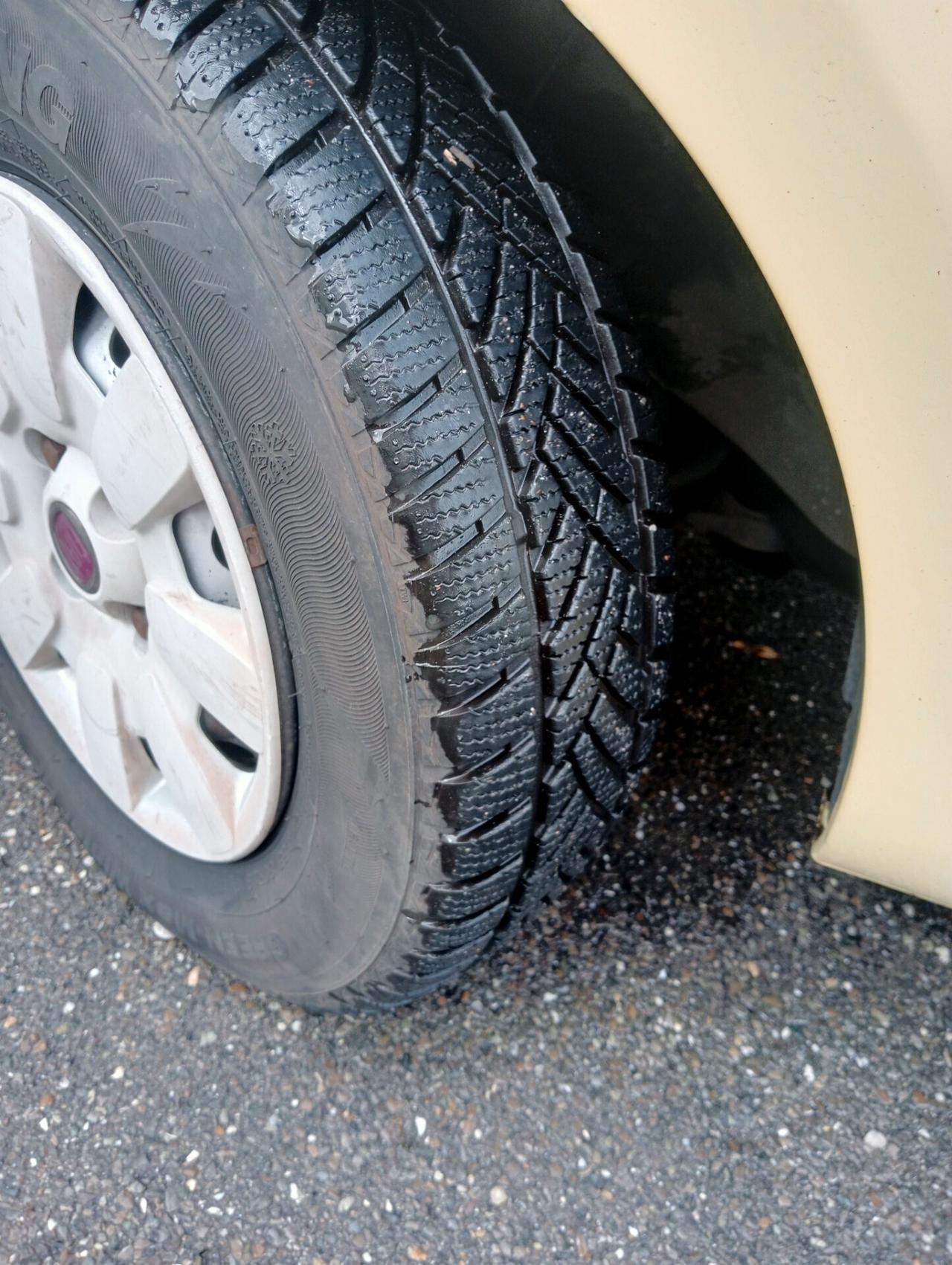 Fiat Panda 1.2 Dynamic GPL X Neopatentati