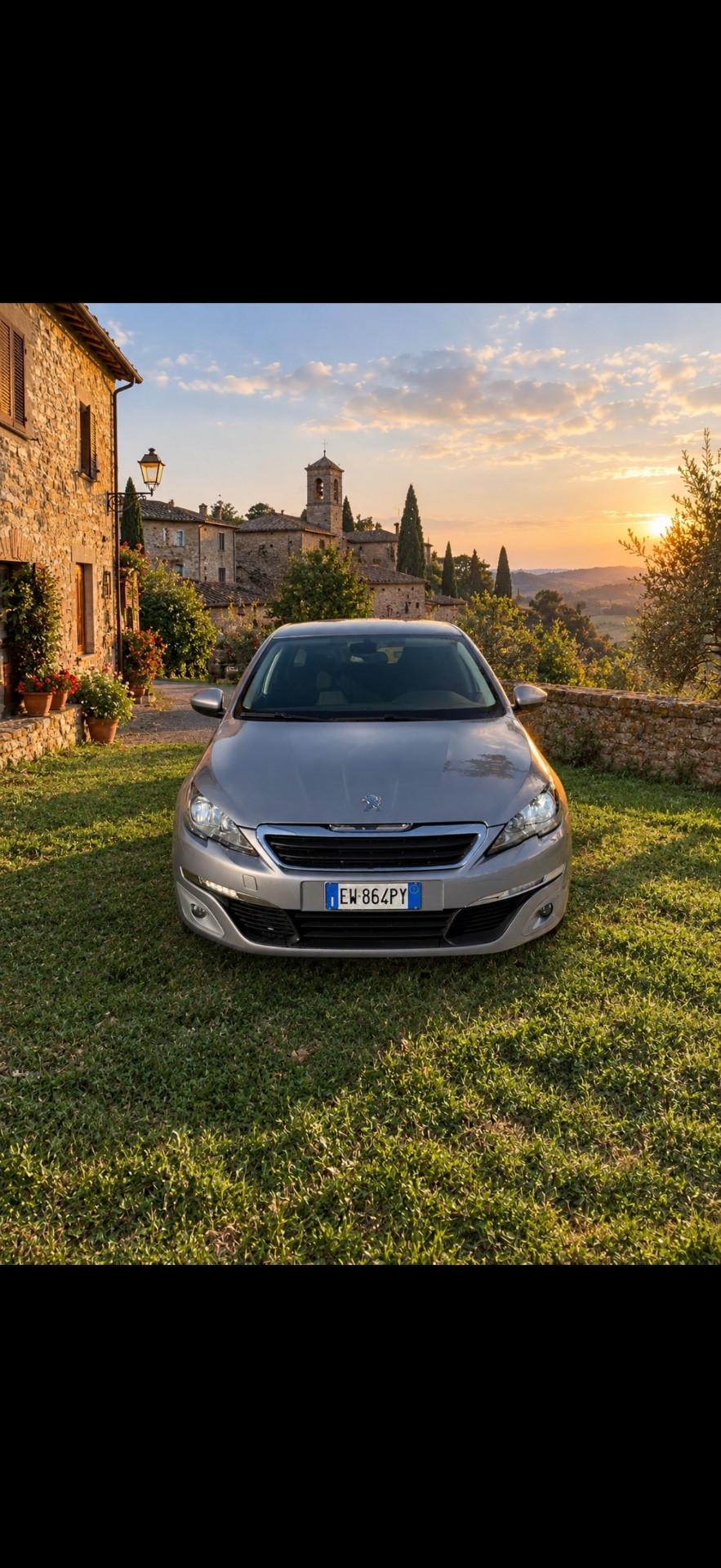 Peugeot 308 1.6 HDi 92 CV Business