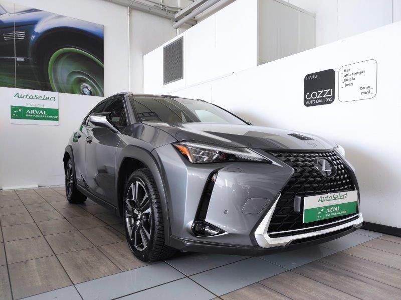 Lexus UX Hybrid 4WD Luxury