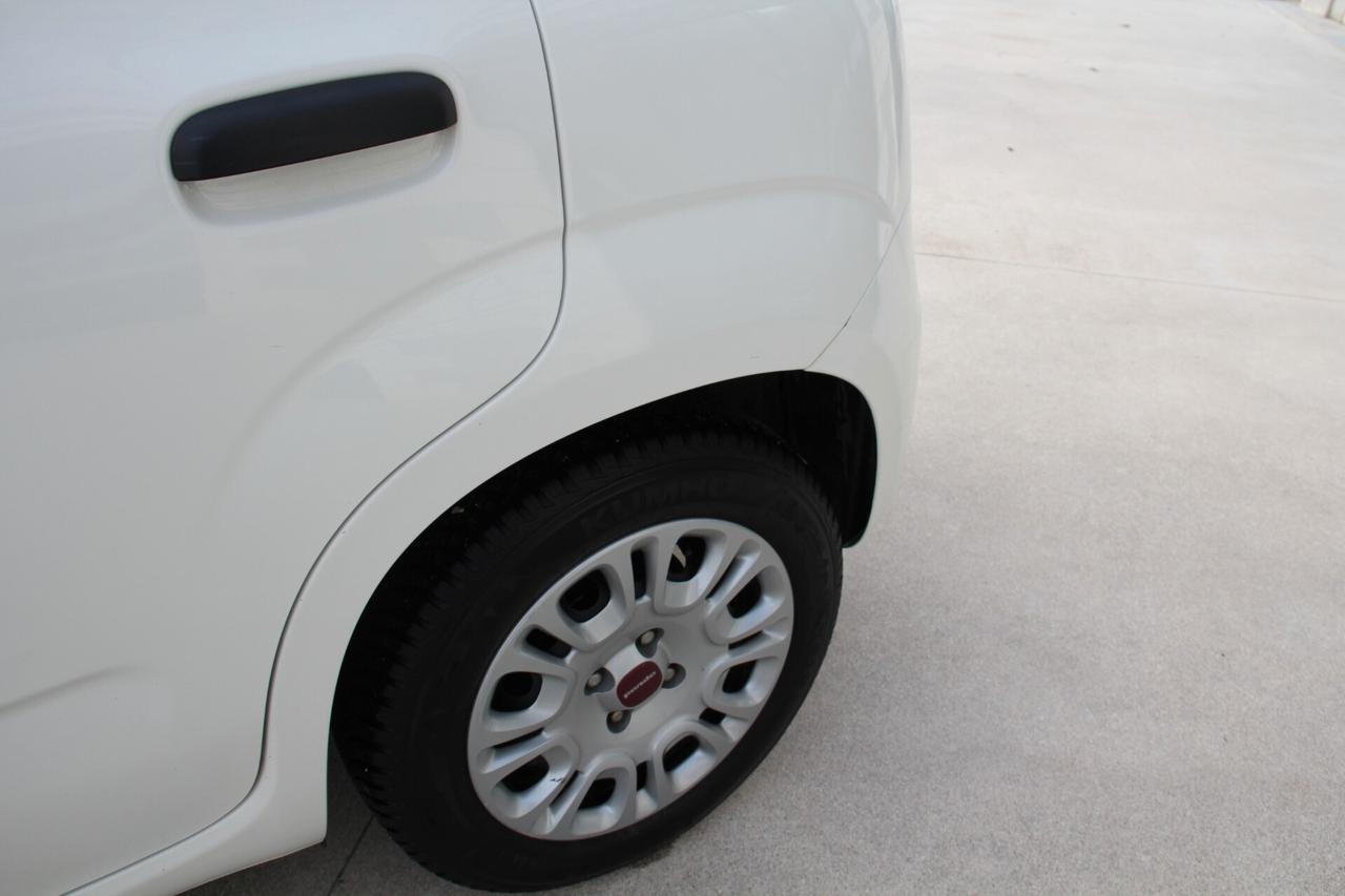 Fiat Panda 1.2 Easy (KW 51 CV 70 Neopatentati)
