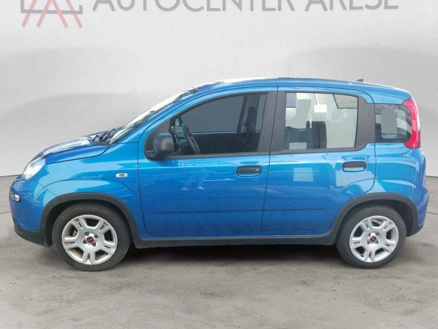 FIAT Panda 1.0 FireFly S&S Hybrid MY24