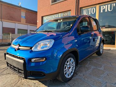 FIAT PANDA 1.0 benzina/ibrida Blu Italia KM 0